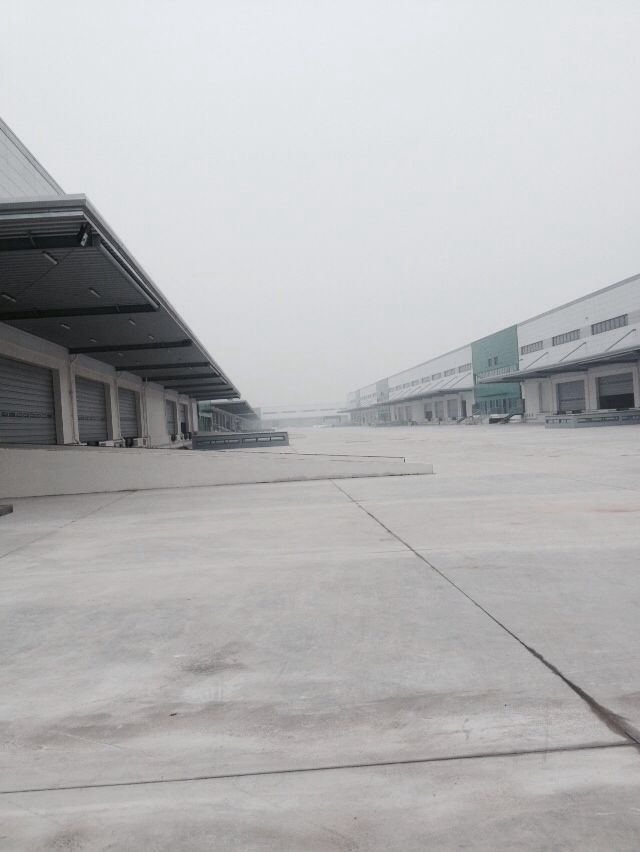 宝山区物流高标仓库租赁助您提升运营效率与仓储管理