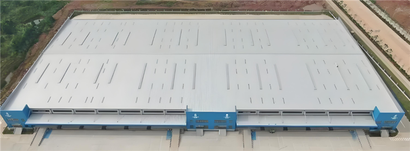 2345截图20250106105650 2345截图20250106105650