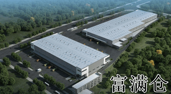 优化仓储物流，提升配送效率-仓储物流配送方案：现状分析与策略优化