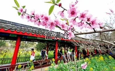 临港新片区老港镇成为上海桃博园旅游基地