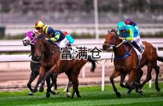 国际顶级马术俱乐部将落户于临港新片区